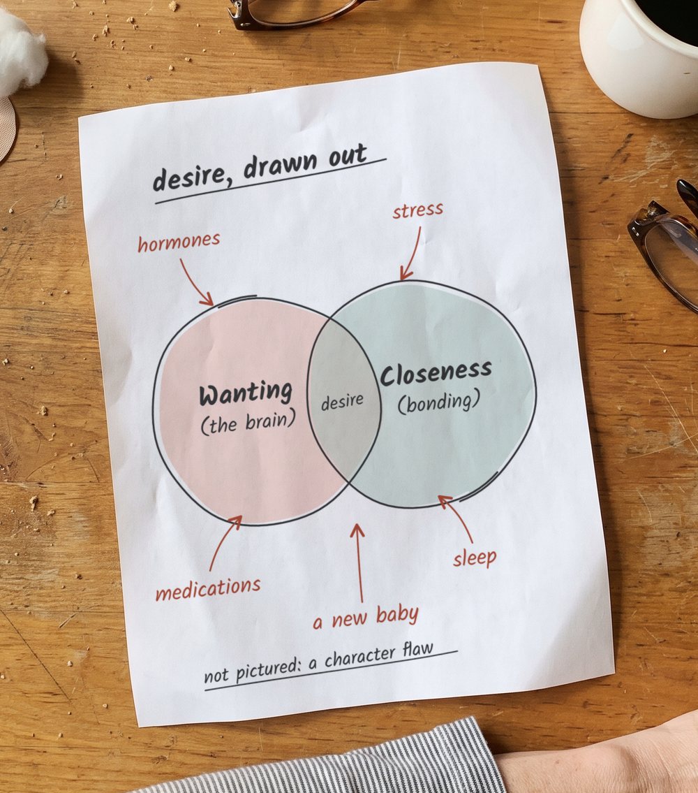 A hand-drawn diagram on a sheet of paper: two overlapping circles labeled Wanting (the brain) and Closeness (bonding), with red arrows pointing in from hormones, stress, sleep, medications and a new baby. Footnote: not pictured: a character flaw.